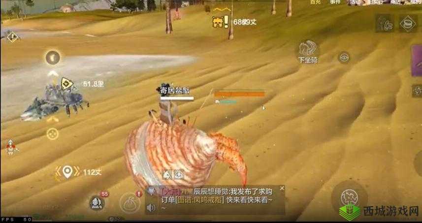妄想山海：寄居蟹奇遇记