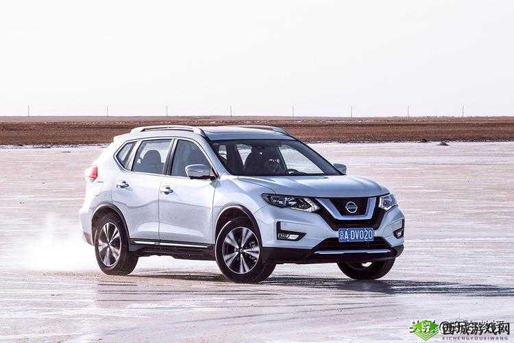 日本无人区码 SUV：神秘的探险伙伴