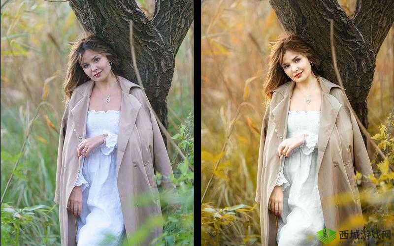 探索PS二级调色大片的效果：技巧与魅力