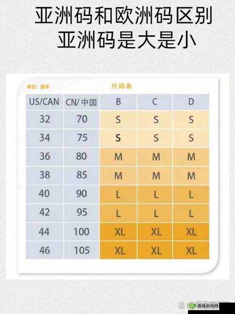 亚洲 M 码和欧洲 S 码的区别