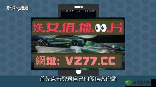 欧亚专线欧洲 S 码 WMY 不知所措：探寻背后真相