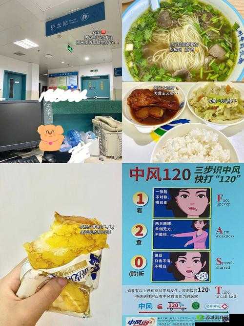 肉食教师食取报告 3HD：揭秘背后的故事