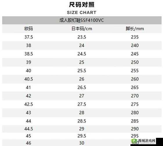 日韩码一码二码三码区别详细解析