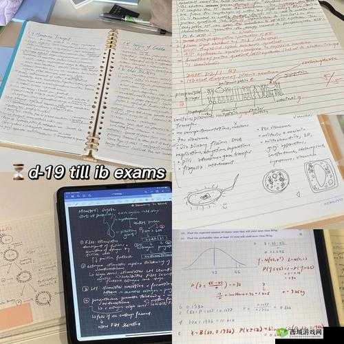 GoGoGo大胆人文艺术评价：深度剖析与见解