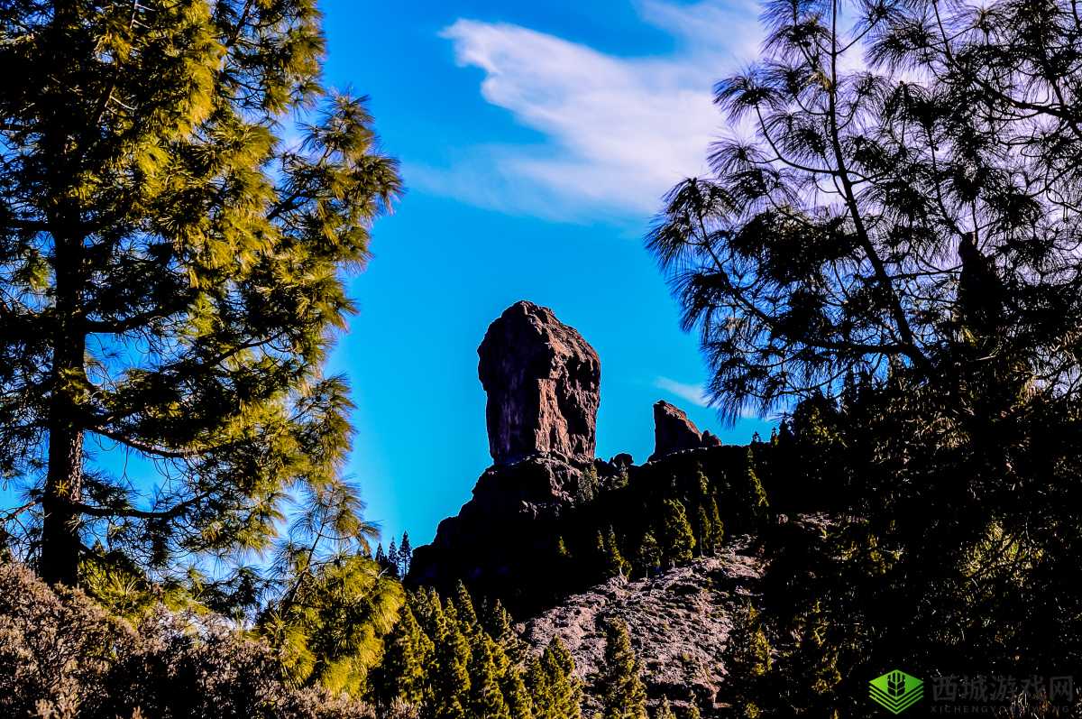一个在上面吃一个在下面做那个：奇景