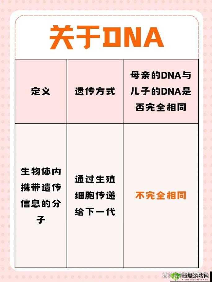 母亲 DNA 与儿子 DNA 究竟是否一样