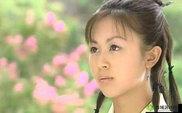 角色扮演系统 npn 赵青蔓：一场禁忌的游戏
