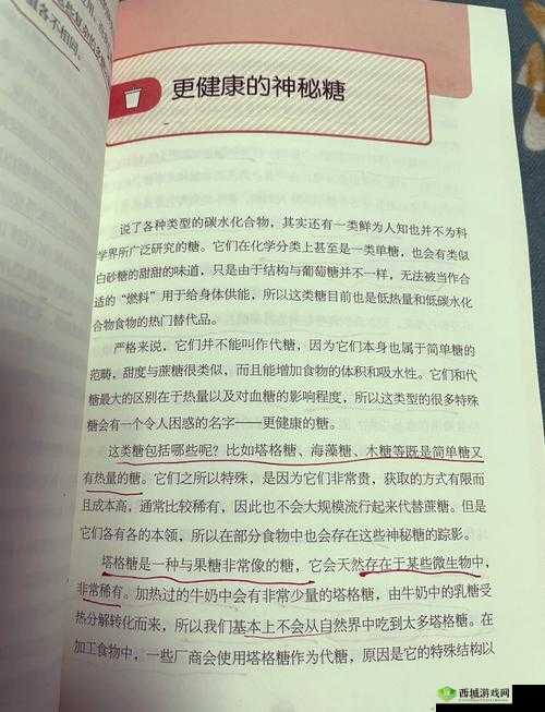 探索 91 精产国品背后的奥秘与价值