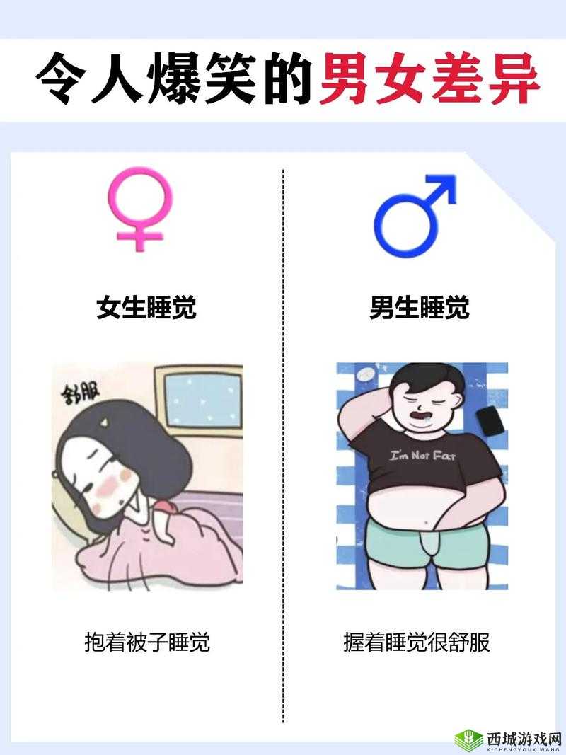 男生女生差差：关于男女生之间差异的深入探讨与分析