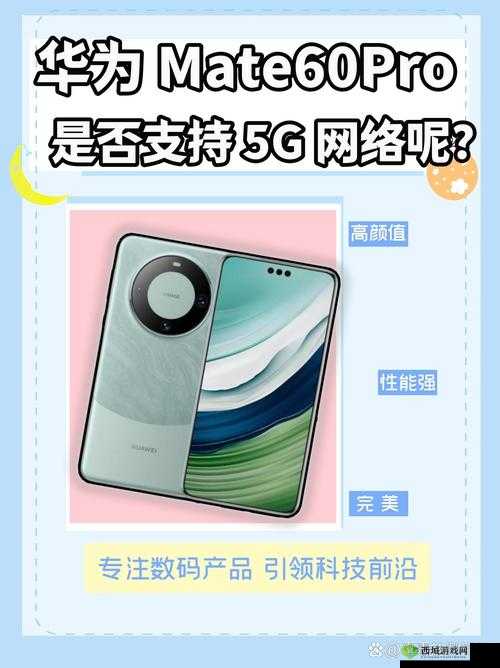 5G 天天爽：畅享极速连接带来的无限精彩体验