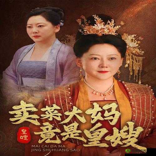 妻子 6 免费的电视剧完整版在哪里可以观看：探寻最佳观影渠道