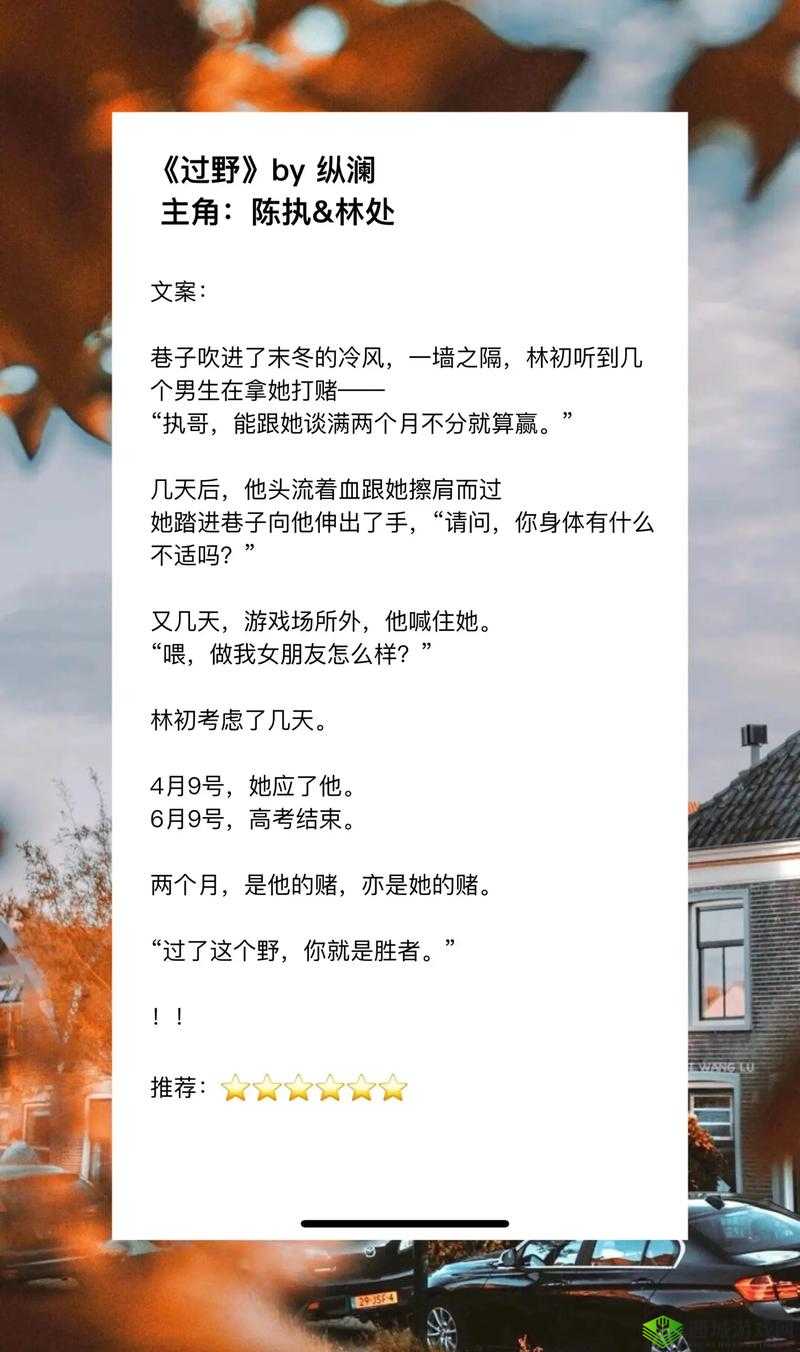 小诗jianying 日记小说背后的故事与感悟