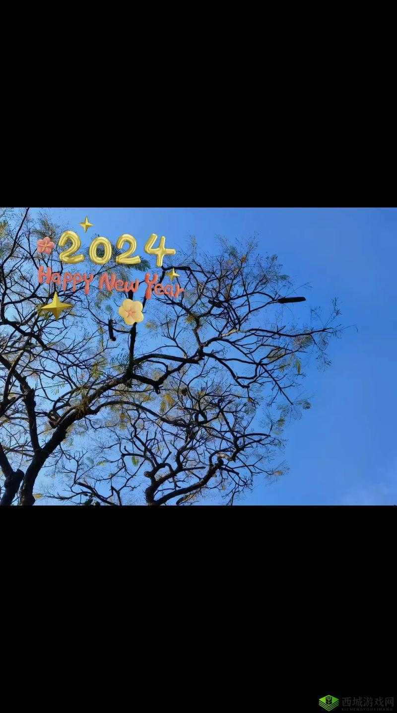 TTTZZZ 传送门 2024：开启未来之旅