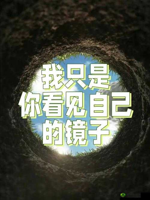 抬头看镜子里的接合处隐藏了什么究竟有着怎样的秘密