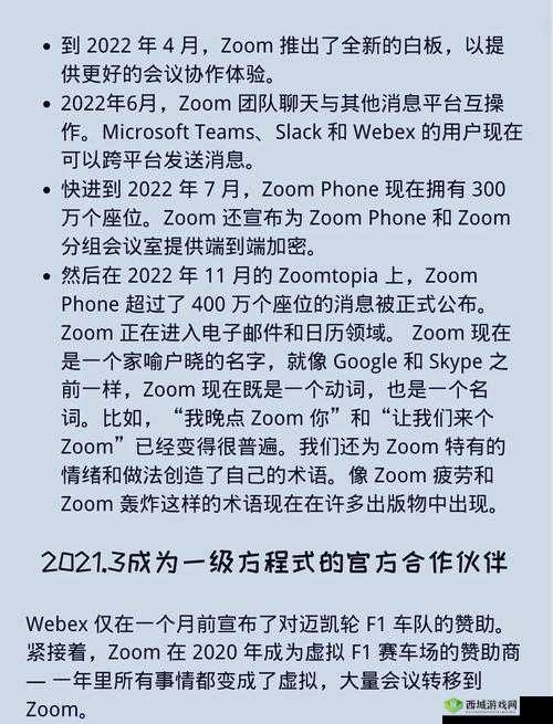 国内 Zoom 人与 Zoom ：探究其在数字化时代的独特作用
