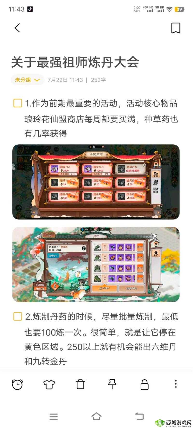 元气众生录炼丹大会全攻略，如何解锁道场活动新玩法引发众人好奇？