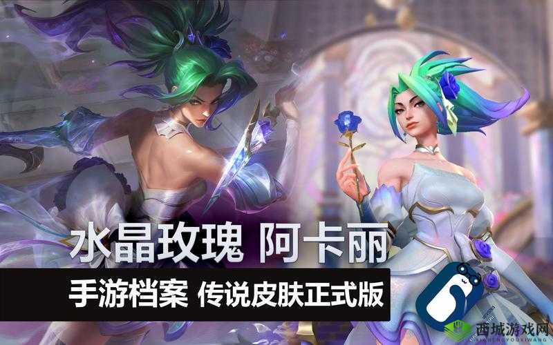 阿卡迪亚尼丽雅究竟如何？全面解析英雄属性与技能介绍