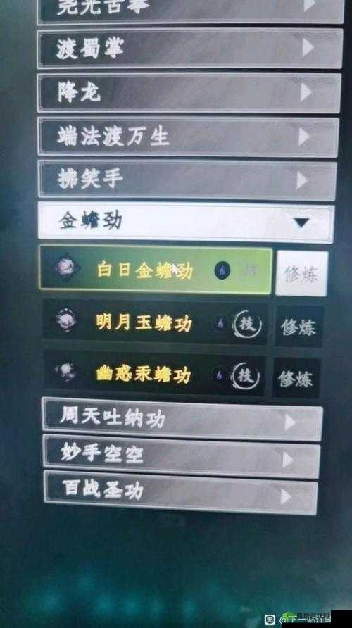 下一站江湖，如何解锁少林洗脉经？获取攻略大揭秘！