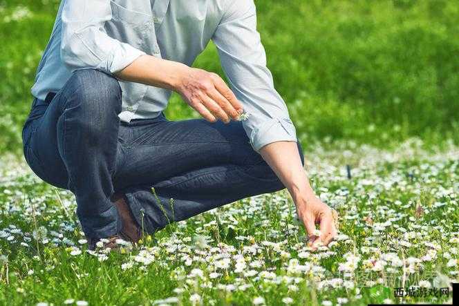 为什么有人喜欢拍摄性摘花视频？这种行为是否违法？