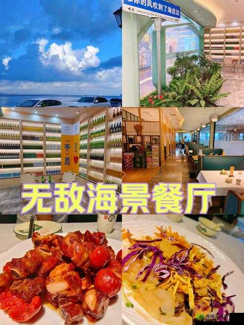 如何顺利抵达小森生活海边餐厅并享受美食？详细就餐攻略揭秘