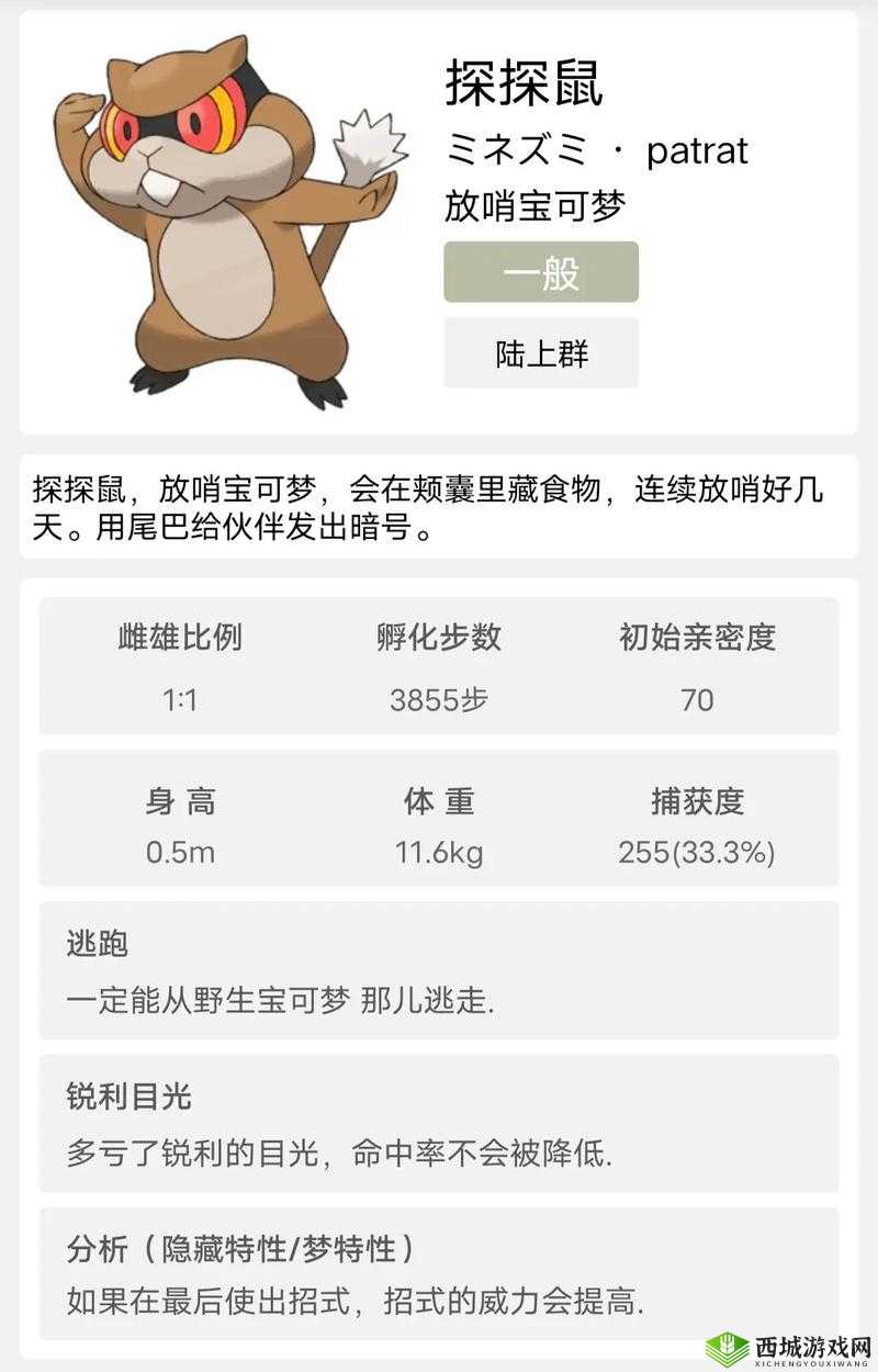 造梦无双吱吱鼠究竟有多强？全面解析宠物技能与进化路线！